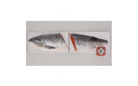 北海道新巻鮭といくら醤油【11月上旬～1月末発送】 鮭 鮭 鮭 鮭 鮭 いくら いくら いくら いくら