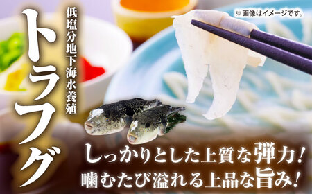 【全6回定期便】壱岐産 高級魚 刺身 4種セット 計195g（トラフグ・ヒラメ・ヒラマサ・真鯛）[JDT084]