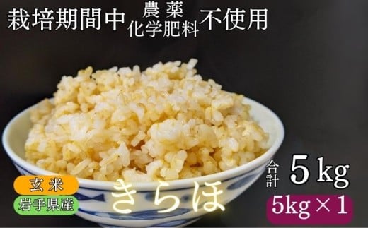 岩手県産 きらほ 玄米 5kg 農薬 化学肥料 ：栽培期間中 不使用 武田家のお米【米農家 仁左ェ門】 米 こめ コメ ご飯 ライス おにぎり 弁当 単一原料米 低アミロース米 希少 稀少 5キロ ５kg 産地直送 農家直送 国産 おすすめ 人気