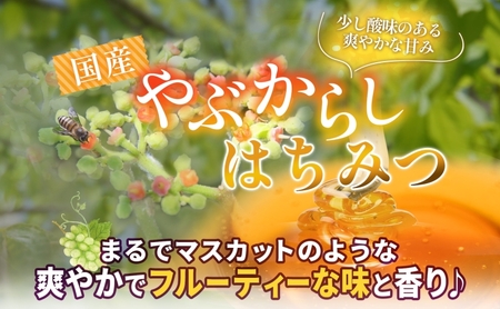 藤原国産蜂蜜 やぶからし 500g はちみつ ヤブカラシ 国産 単花蜜 朝しぼり 完熟 ハチミツ パン 菓子 トースト ホットケーキ ヨーグルト 調味料 隠し味 お取り寄せ ポリ容器 常温 常備 送料