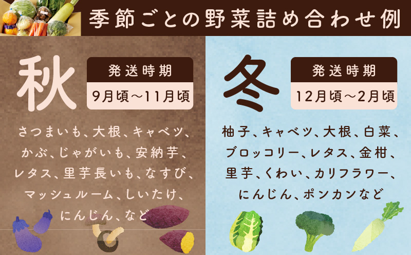 10種類の新鮮野菜 定期便 全6回 詰め合わせ 国産 半年【毎月配送コース】 099Z186