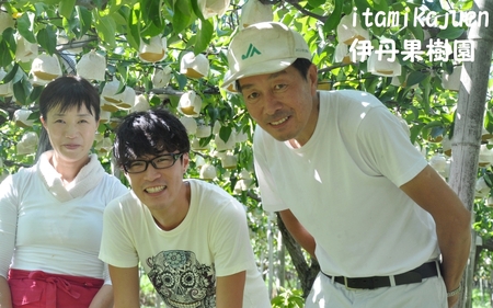 【2025年先行予約】新潟特産 幻の洋梨ル・レクチェ 家庭用 約2kg（5～7玉） 《11月下旬以降順次発送》 令和5年新潟県ル・レクチェ果実品評会「県知事賞」 いたみ果樹園 |加茂市