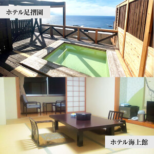 あしずり温泉郷 共通宿泊クーポン券 30,000円分 あしずり温泉郷 旅行券 トラベル ペア 家族 温泉 ホテル 観光 旅行 国内旅行 宿泊 宿泊施設 自然 旅館 高知県 土佐清水市【R01317】