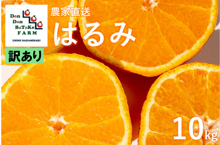 【先行予約】【訳あり】はるみ 約10kg | 柑橘 みかん 果物 フルーツ 愛媛県産 農家直送 　※離島への配送不可　※2025年2月上旬頃に順次発送予定