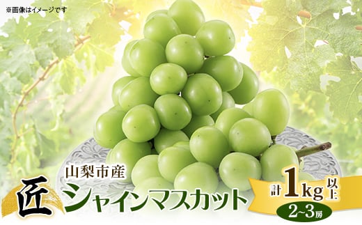 
            ＜2025年先行受付＞ 山梨市産シャインマスカット(匠)2～3房 (1kg以上)【1413176】
          