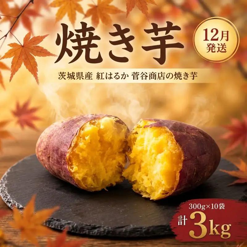 焼き芋 常温 12月発送 3kg 茨城県鉾田市 菅谷商店 やきいも 【 小分け 紅はるか サツマイモ 】 焼き芋