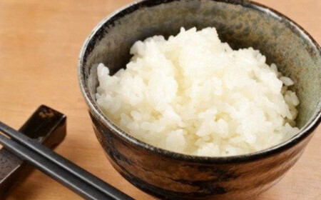 【令和7年産米】蔵王産 我妻の米（ひとめぼれ）　精米5kg×2袋 ／ 米 ごはん ご飯 白米 精米 5kg 10kg 2025年産 令和7年産 新米 東北 宮城県産 蔵王産　【04301-0237】