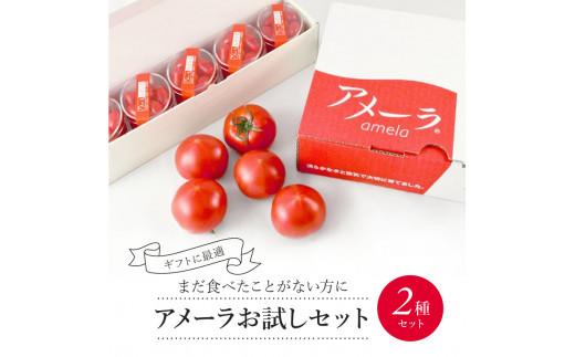 アメーラ トマト ミニトマト 5パック セット アメーラルビンズ 高糖度 7.5以上 化粧箱入り 産地 直送 新鮮 旬の 野菜 高級 フルーツトマト アメーラトマト トマト トマト トマト