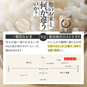 【スピード発送】コシヒカリ 5kg 白米 令和７年産