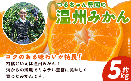 ＜西予の美味しい柑橘セレクト（ご家庭用）／つるちゃん農園のみかん（約5kg）＞ 果物 くだもの フルーツ 蜜柑 みかん ミカン 柑橘 ご家庭用 温州みかん 食べて応援 国産 愛媛県産 特産品 西予みか