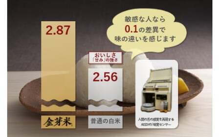 米 無洗米 金芽米 令和6年 宮城県産 ひとめぼれ 4kg  ( 2kg × 2袋 ) [ 宮城県 加美町 ]  お米 こめ コメ 精米 白米 玄米 きんめまい おすすめ 新米 ナカリ タカラ米穀 パ