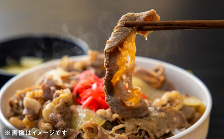 【全12回定期便】熊本県産 『原田畜産』 黒毛和牛 切り落とし 計約1kg（約250g×4パック） 牛肉切り落とし [AYCN047]