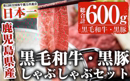 鹿児島黒毛和牛 鹿児島黒豚しゃぶしゃぶセット(300g×2P・計600g) たれ付き 黒毛和牛 黒豚 国産【ナンチク】A1-v01