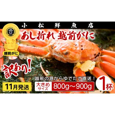 ふるさと納税 越前町 【訳あり】足折れ 越前がに 大きめサイズ × 1杯(800〜900g)【2024年11月発送分】