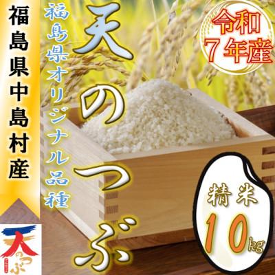 ふるさと納税 中島村 【数量限定/令和7年産】中島村産『天のつぶ』(精米)10kg