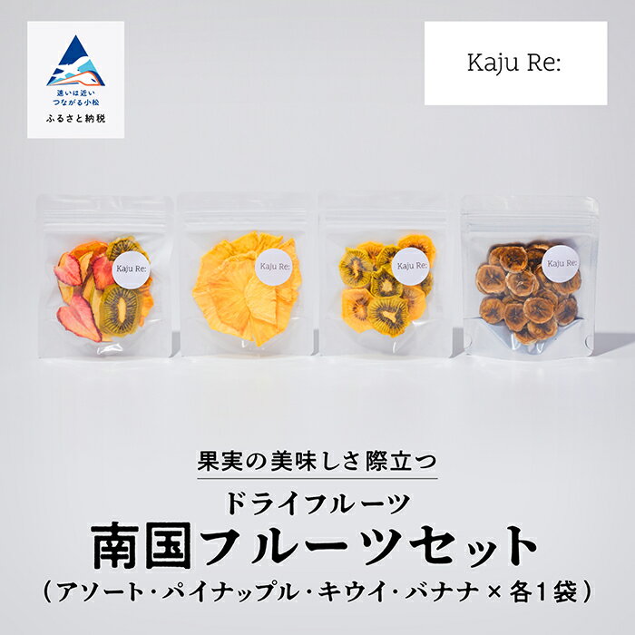 【ふるさと納税】 Kaju Re: ドライフルーツ 南国フルーツセット 詰め合わせ （4種類 アソート パイナップル キウイ バナナ ) ギフト 小松市 石川県 010186【Kaju Re:】