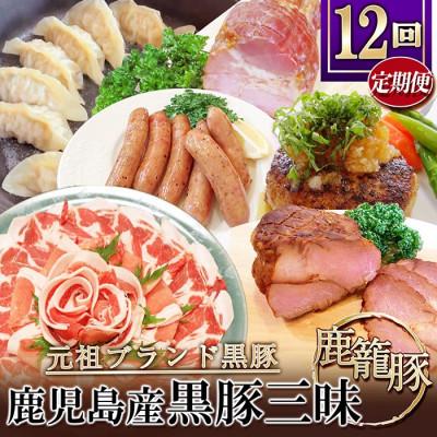 ふるさと納税 枕崎市 【発送月固定定期便】鹿児島県産黒豚三昧 HH-2全12回