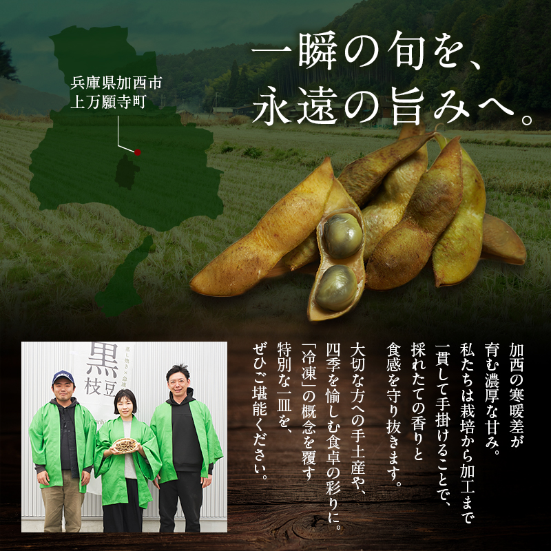 丹波黒枝豆(冷凍)3P