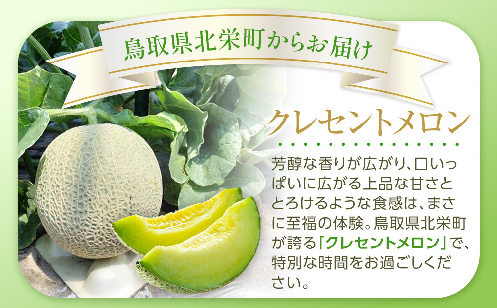 783.【先行予約】青肉メロンの新星「クレセントメロン」満足の２玉セット　※2025年７月中旬より順次発送予定