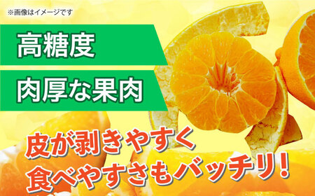 【先行予約】2月～3月発送 デコポン 約5kg 果物デコポン柑橘ZBG008