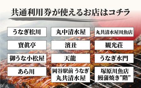 「うなぎのまち岡谷」の会 食事券 共通利用券6,000円分