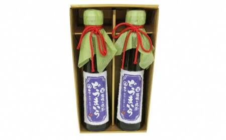 抹茶 シロップ 「どうまいら」小 2本 シロップ 藤枝抹茶