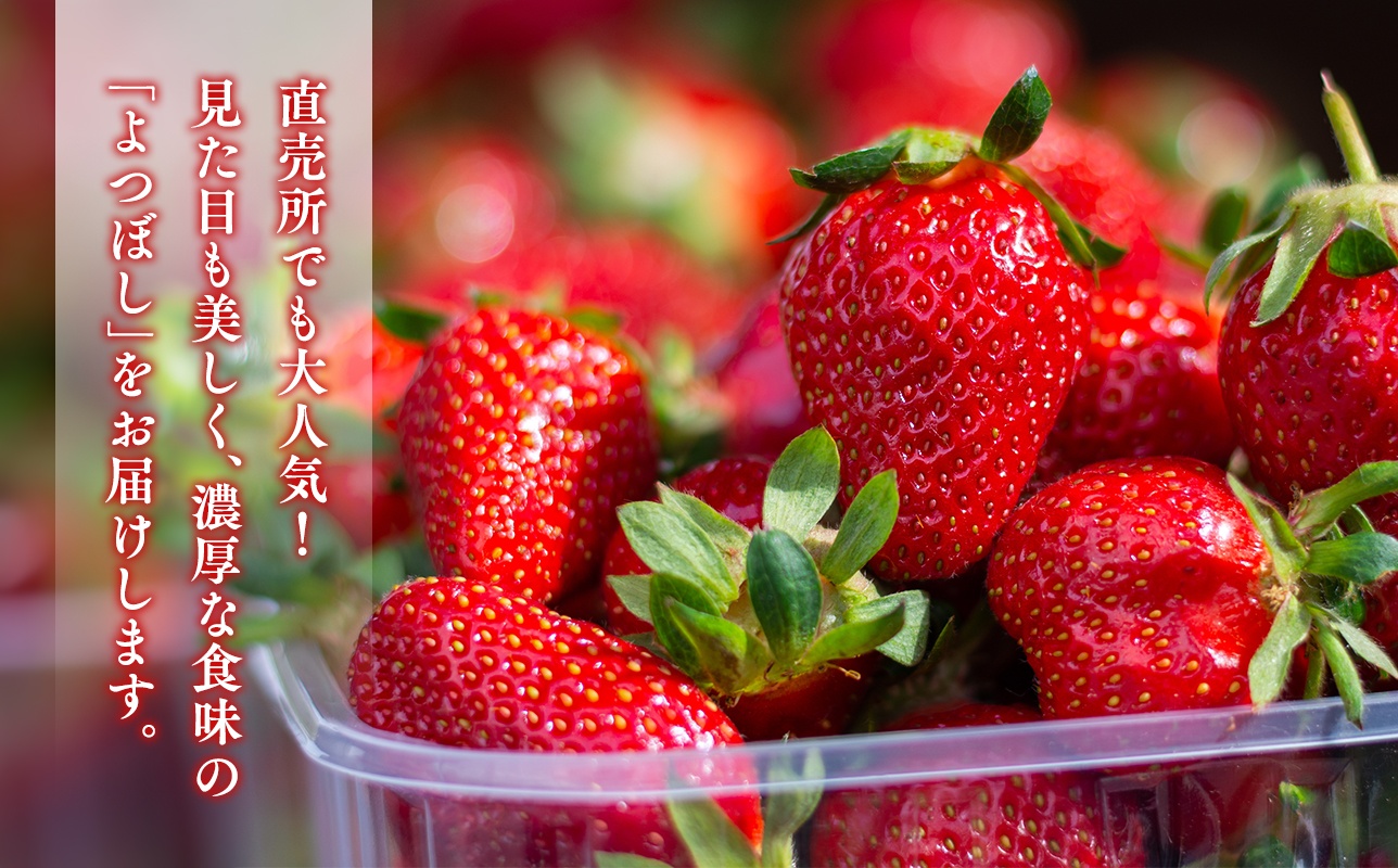 【1～4月発送】いちご よつぼし 約200ｇ×4パック