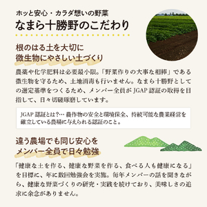 北海道十勝芽室町 なまら十勝野の季節のおまかせ野菜セット（夏） me001-009c