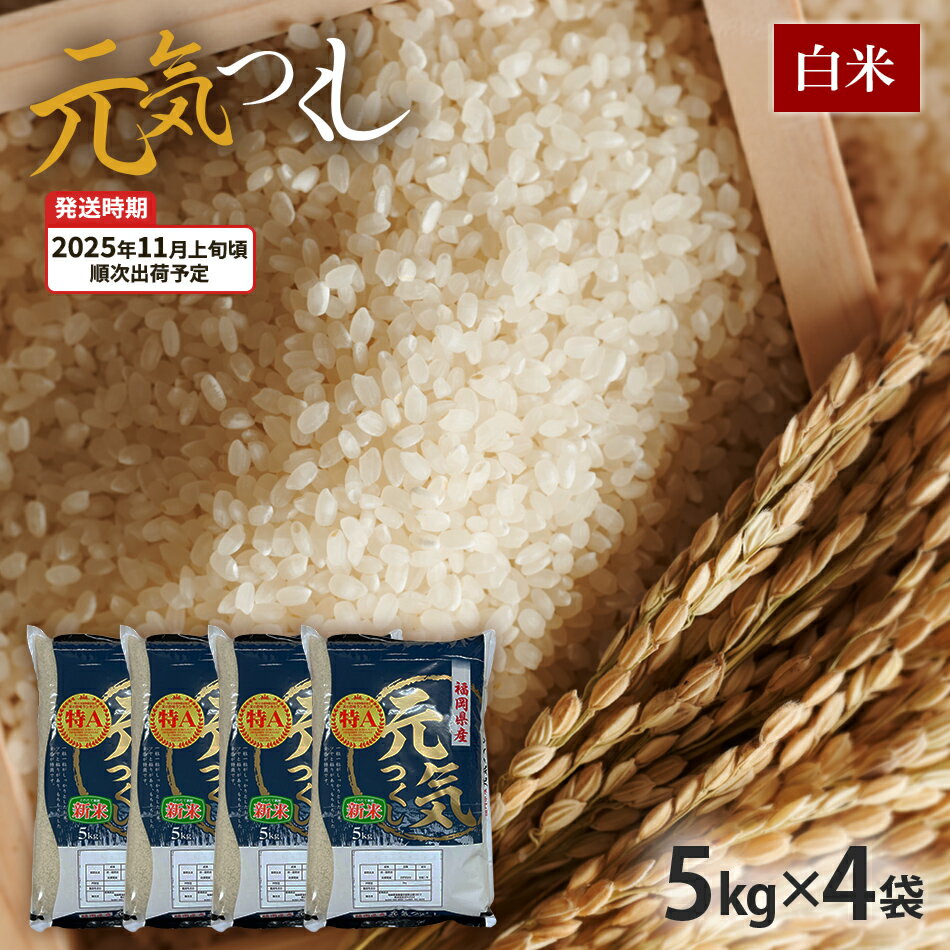 【ふるさと納税】元気つくし 令和7年産　【11月上旬頃より順次出荷予定】福岡県産ブランド米「元気つくし」白米20kg お取り寄せグルメ お取り寄せ 福岡 お土産 九州 福岡土産 取り寄せ グルメ 福岡県