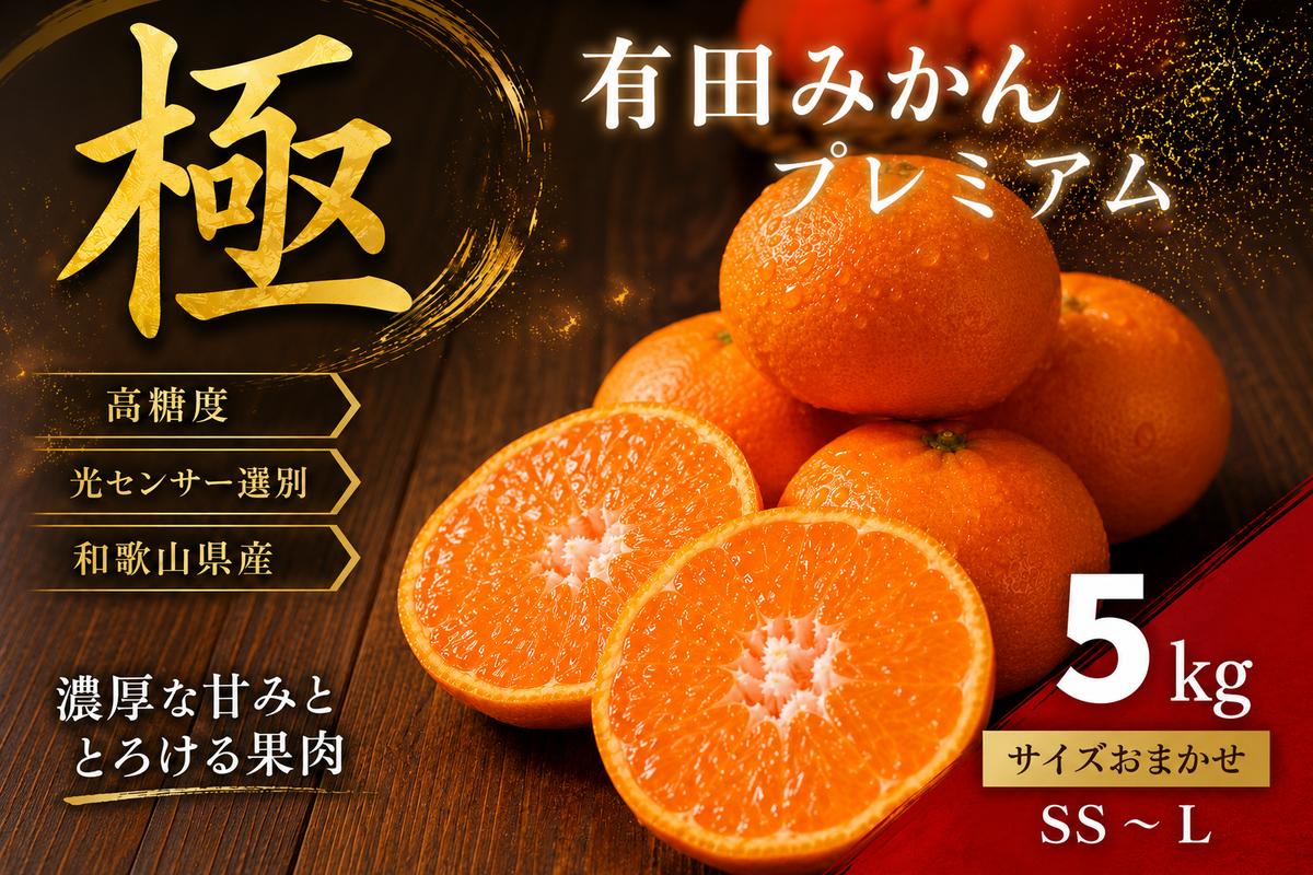 ＼光センサー選別／極 有田みかんプレミアム 約5kg【光センサー 高糖度選別品】2S～Lの小玉サイズ 有機質肥料100% | 光センサー選別 温州みかん みかん 高糖度 柑橘 果物 フルーツ 甘い◇
