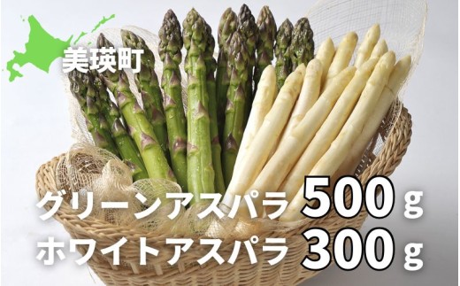 【令和9年産先行予約】グリーンアスパラ 500g & ホワイトアスパラ 300g 美瑛選果  | ホワイト グリーン アスパラガス アスパラ あすぱら あすぱらがす 採れたて 新鮮 旬 産地直送 野菜 食べ比べ[019-81]