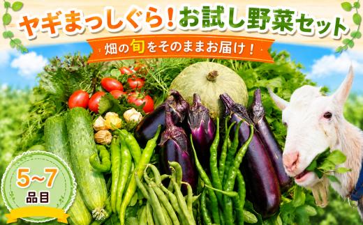 【お試し野菜セット】 野菜セット(5~7品目)詰め合わせ 季節の野菜 旬野菜 詰合せ おまかせ 新鮮 セット みずみずしい 季節の野菜 詰合せ こだわり 旬 自然 自然派 やさい お野菜 おやさい 野菜詰合せ 野菜セット やさしい ヤギまっしぐら 季節野菜 旬の野菜 旬のお野菜 一人暮らし つめあわせ 石川 石川県 能登 のと とき 朱鷺 放鳥地 羽咋 やさいせっと はくい メへへ農園