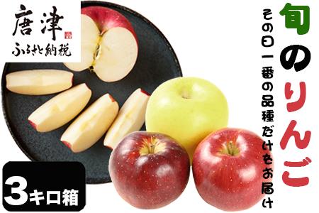 『先行予約』【令和8年8月中旬発送】厳選 九州旬のりんご 3キロ箱(8～12玉入) 九州 リンゴ 林檎 フルーツ 果物 つるが 秋映 紅将軍 シナノスイート シナノゴールド 3kg