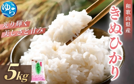 【先行受付】和歌山県産キヌヒカリ 5kg（2024年産）【SL27】