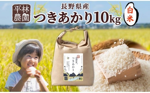 
            【2025年12月～順次発送】令和7年産 つきあかり 白米 10kg×1袋 長野県産 米 精米 お米 ごはん ライス 甘み 農家直送 産直 信州 人気 ギフト お取り寄せ 平林農園 送料無料 長野県 大町市
          