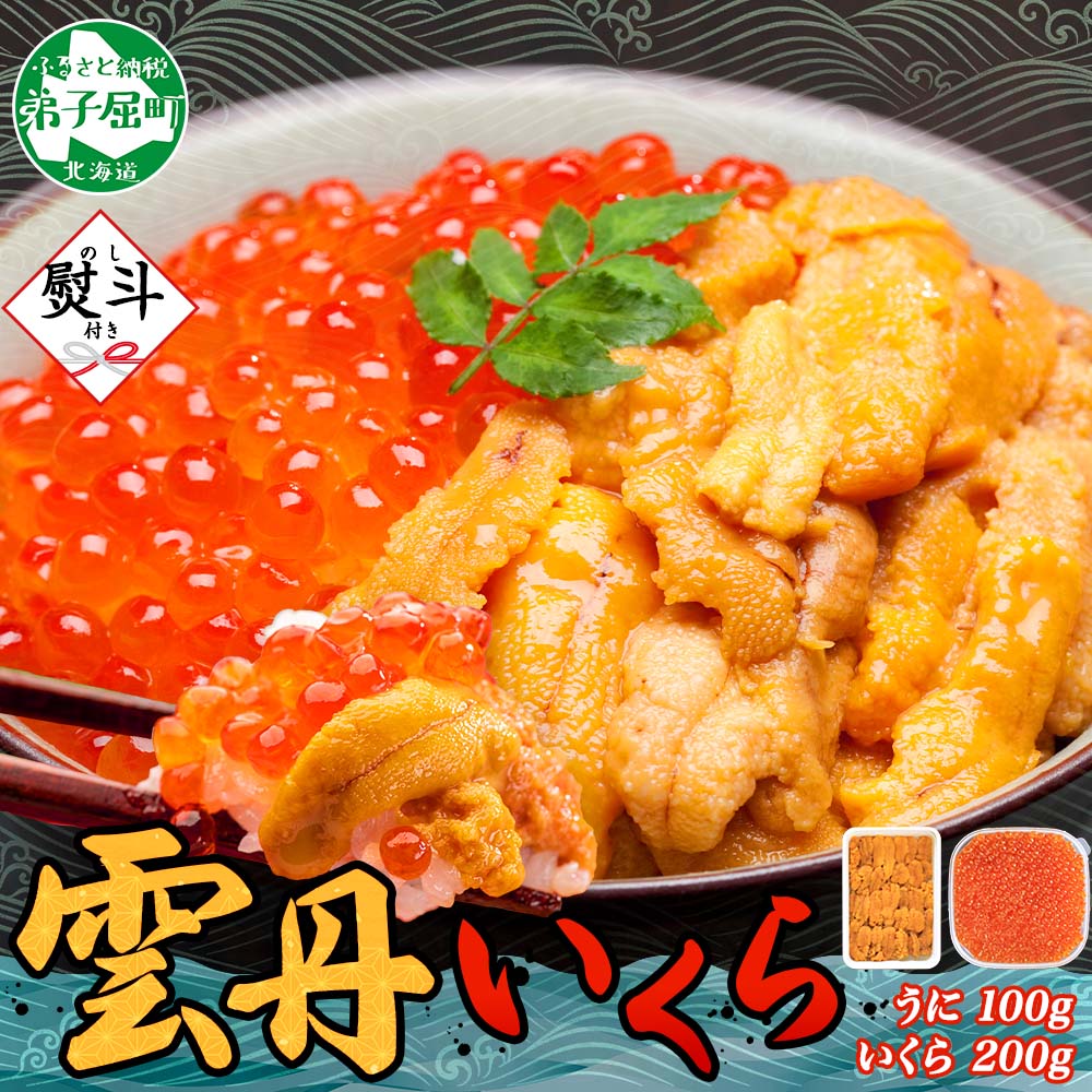 【ふるさと納税】3403. 無地熨斗 うに 100g いくら醤油漬け 200g ウニ チリ産 冷凍 いくら 二色丼 雲丹 イクラ 海鮮 海鮮丼 うに丼 いくら丼 いくら醤油漬け のし 名入れ不可 送料無料 北海道 弟子屈町