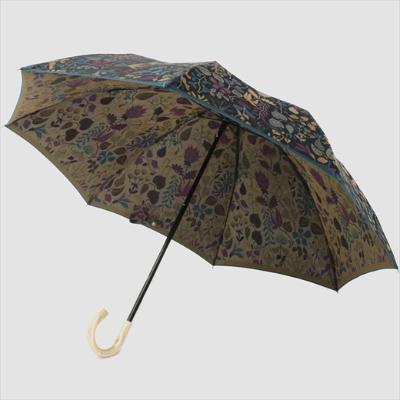 ふるさと納税 富士河口湖町 槙田商店【晴雨兼用】折りたたみ傘 スティグリンドベリ【HERBARIUM】(ハーバリウム) グリーン |  | 02