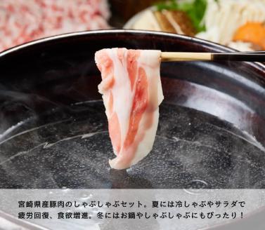 宮崎県産豚肉しゃぶしゃぶセット3kg【豚肉 肉 国産豚 ブランド豚 宮崎県産】