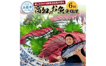 【全6回定期便】違いの分かる鮮魚店店長が送る 高知のお魚定期便！ 高知県土佐市 【さかなの森澤　マル祐】 [BQAM009]
