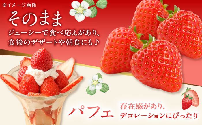 いちご イチゴ 苺 ゆめの香 大粒 果物 くだもの フルーツ