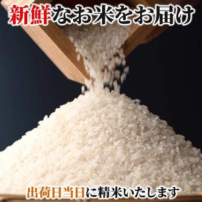 ふるさと納税 安芸高田市 米 令和7年産　広島県安芸高田市産コシヒカリ4kg 精米 [No5895-0195] |  | 03
