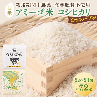 ふるさと納税 大子町 【新米先行予約】アミーゴ米(コシヒカリ)真空キューブ 2合(300g)×24個 計7.2kg|大子町