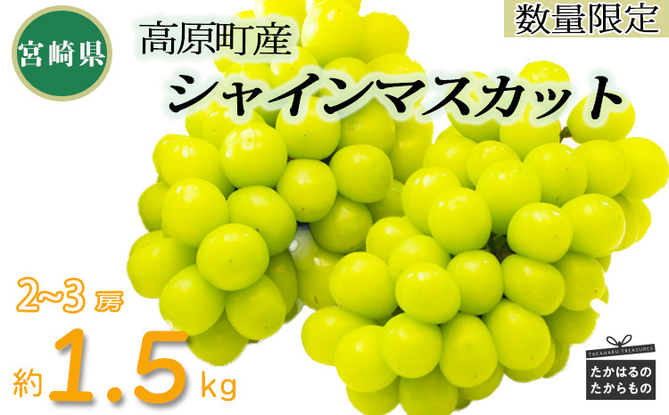 
                  【数量限定・先行受付】久保ぶどう園のシャインマスカット(約1.5kg) 果汁たっぷりの美味しい種なし葡萄 [大粒 果物 フルーツ 季節限定 期間限定 果物 産地直送 約1.5キロ 2房～3房 2個～3個 ワンストップオンライン] TF0780-P00005
                