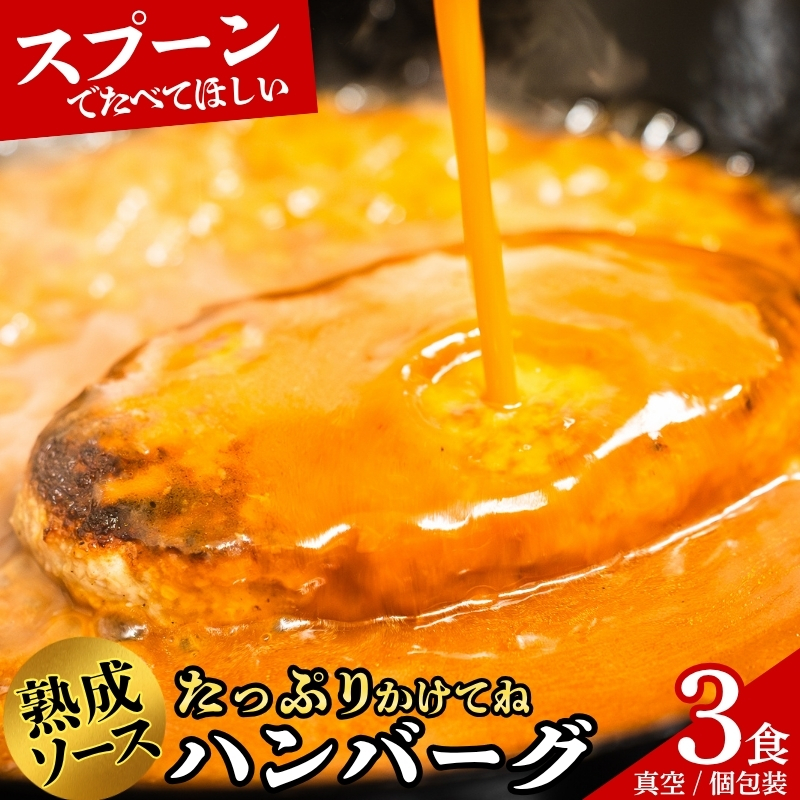 ハンバーグSaiの味 ふわふわ ハンバーグ 自家製ソース付き 3食  sai001a ハンバーグ
