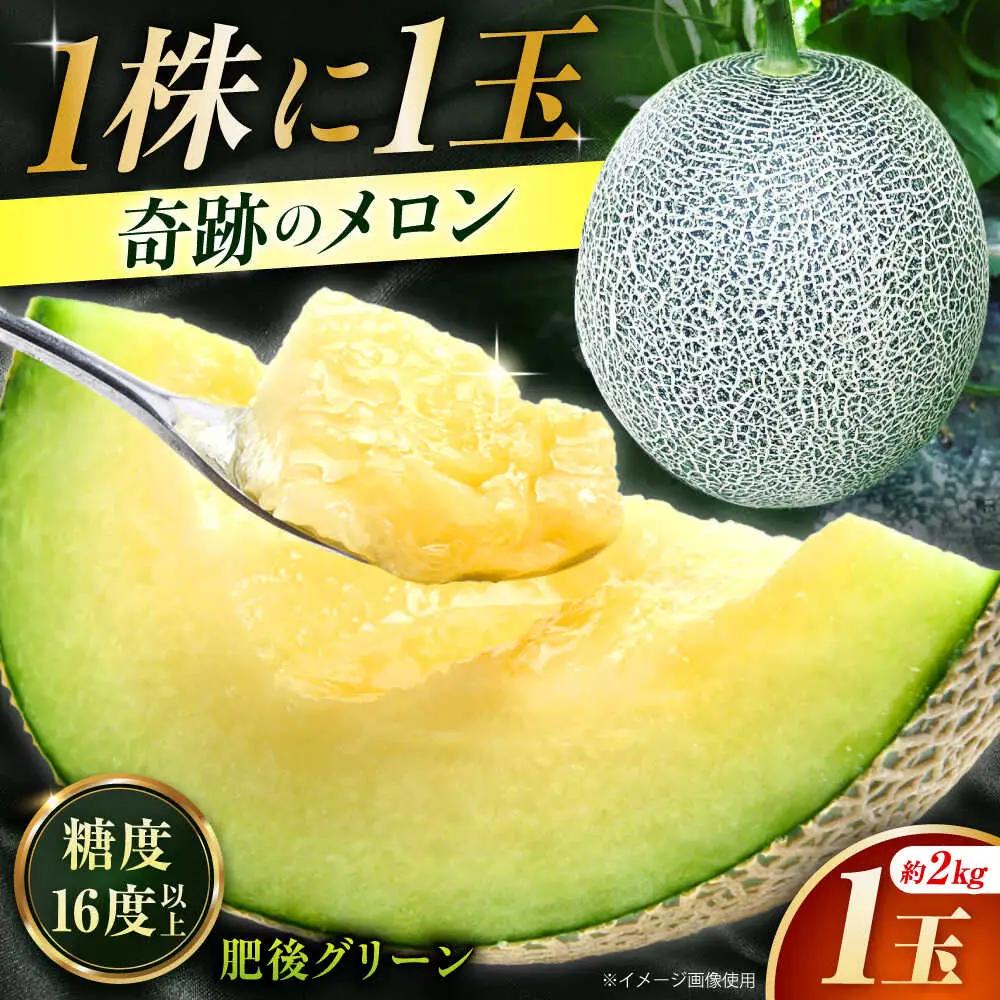 先行予約 肥後グリーンメロン約2kg(1玉)ZEM005
