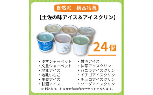 高知 名物 アイスクリン ふるさとの味アイス 24個 セット 【 ゆず 文旦 甘酒 ミルク いちごミルク 生姜 バニラ 抹茶 いちご チョコ ソーダ 人気 カップ スイーツ バラエティ おやつ 詰め合わせ デザート 詰合せ 】 【道の駅須崎】