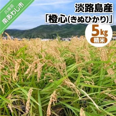ふるさと納税 南あわじ市 淡路島産「橙心(きぬひかり)」　精米5kg