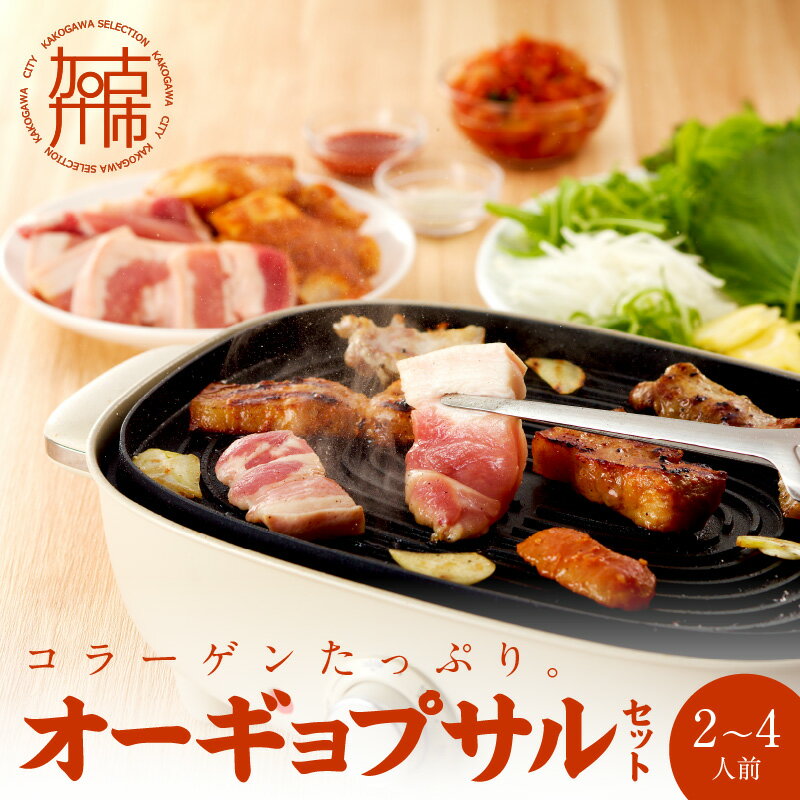【ふるさと納税】【コラーゲンたっぷり！】オーギョプサル(皮付豚肉)味噌、塩セット(2～4人前)《 肉 豚肉 豚 オーギョプサル 自家製キムチ 巻き野菜付き セット 》