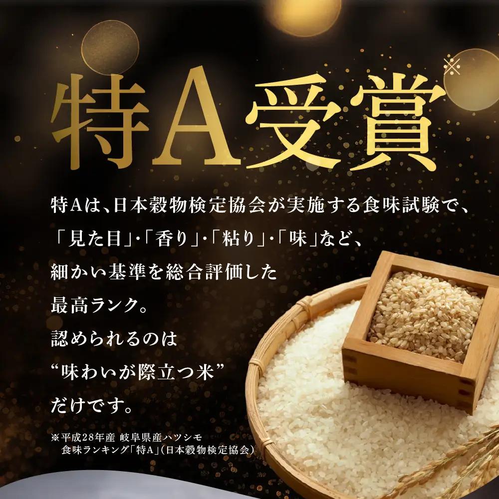 【令和7年度産】精米 定期便 ハツシモ 5kg｜ハツシモ