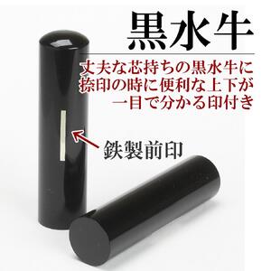 【実印や銀行印に使用可能】黒水牛とメンズケースの印鑑１本セット 高級丹入り黒水牛使用 男性用 女性用 実印 銀行印 就職祝い 入学祝い 卒業祝い 還暦祝い  お祝い 3M03045